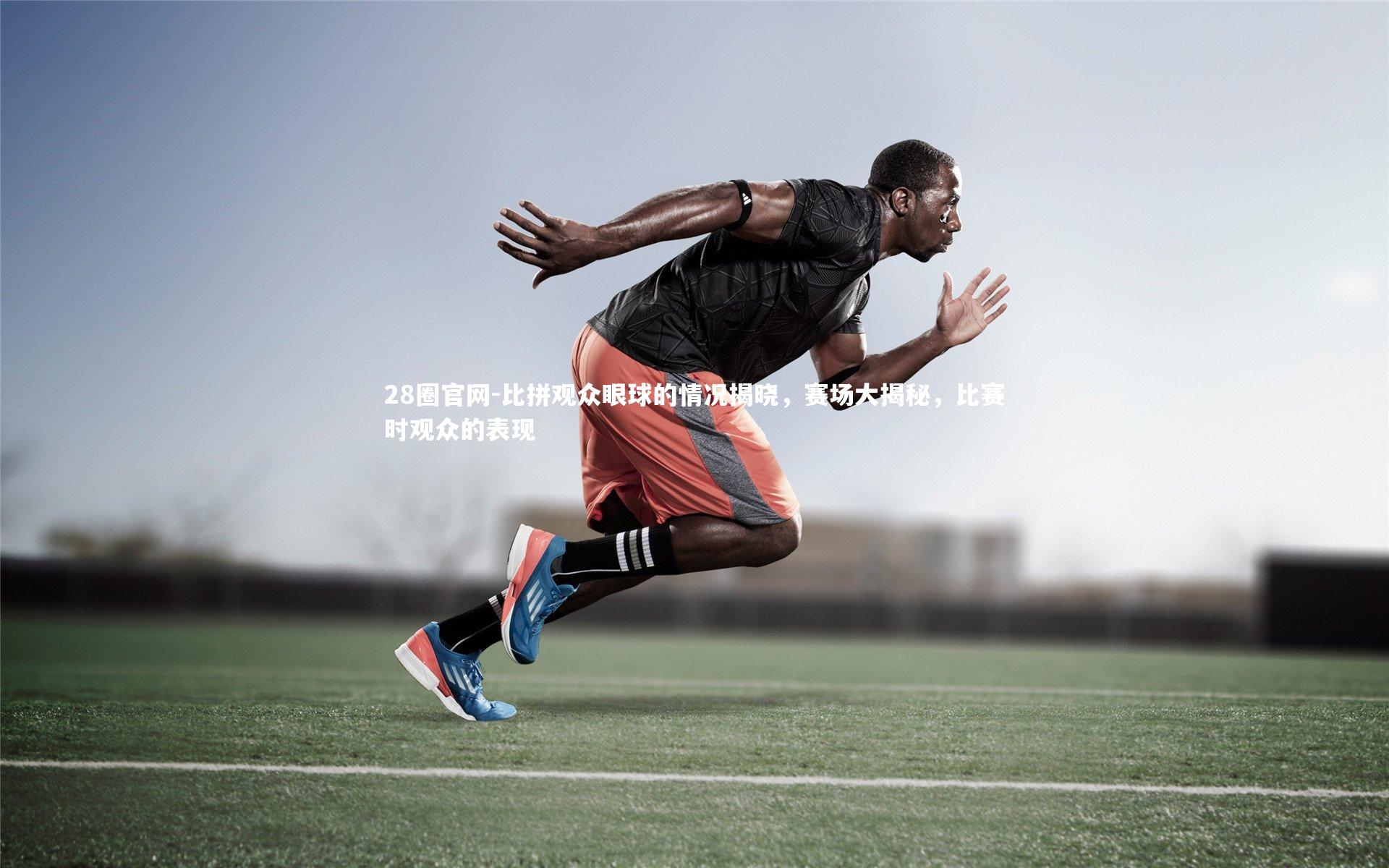 比拼观众眼球的情况揭晓，赛场大揭秘，比赛时观众的表现