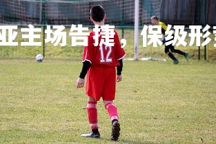 28圈官网-博洛尼亚主场告捷，保级形势稍有好转，博洛尼亚ds