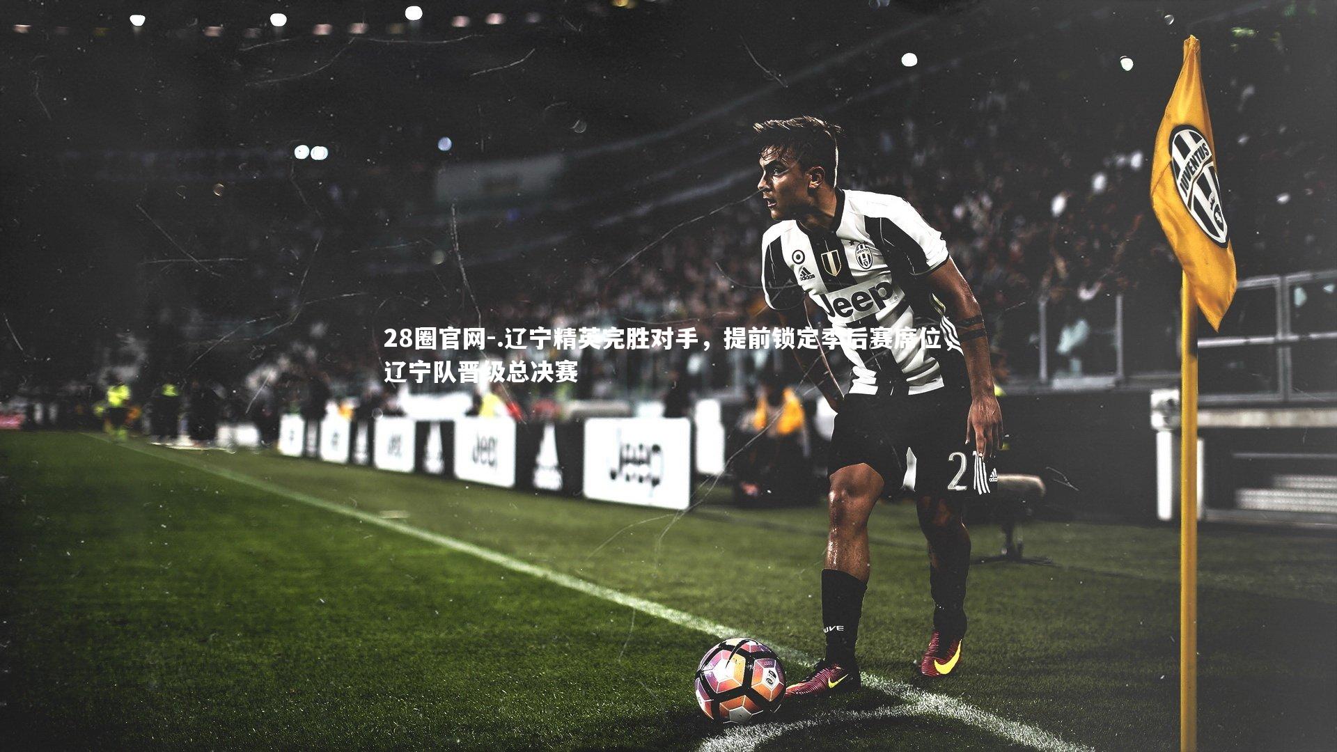 28圈官网-.辽宁精英完胜对手，提前锁定季后赛席位，辽宁队晋级总决赛