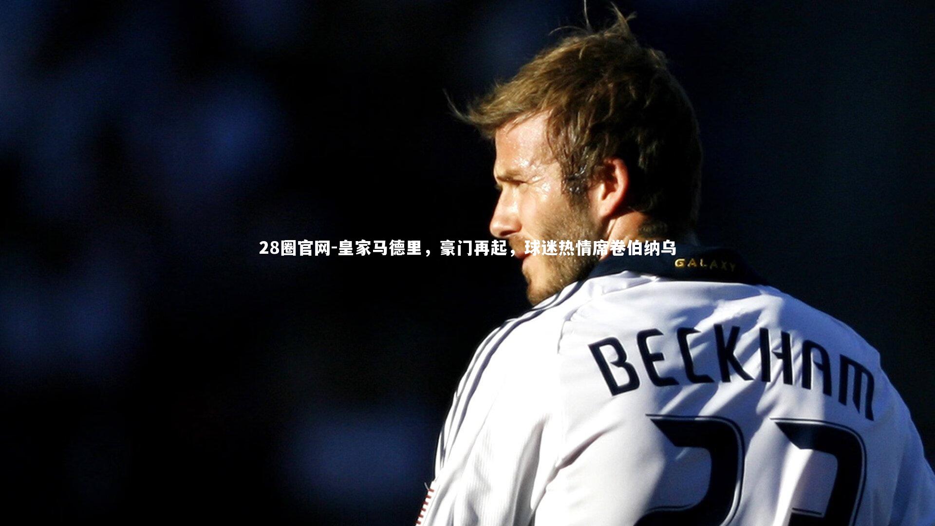 皇家马德里,豪门再起,球迷热情席卷伯纳乌