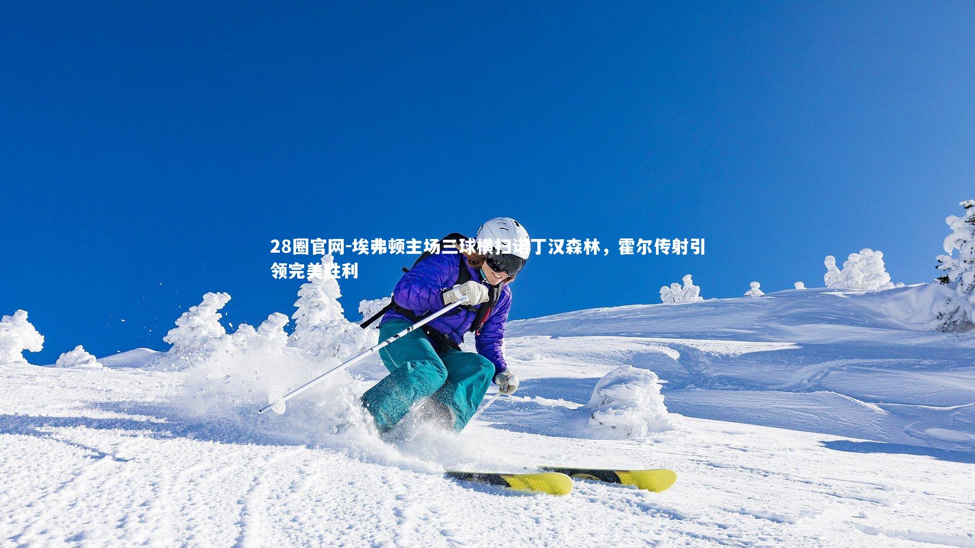 28圈官网-埃弗顿主场三球横扫诺丁汉森林，霍尔传射引领完美胜利